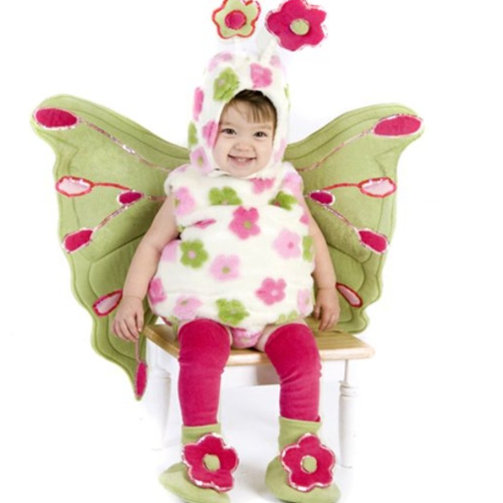 Butterfly Costume - Halloween 18M - 2T - Like-New Condition